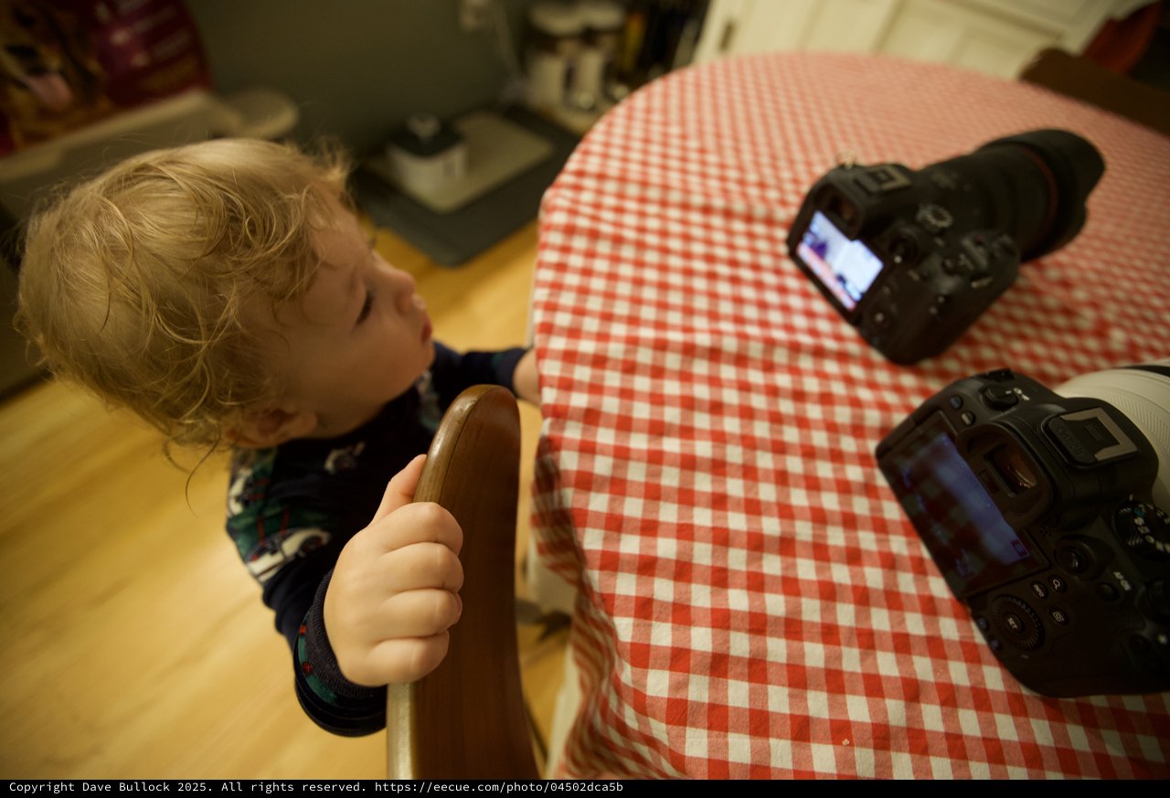 Young Child Participating in Christmas Product Photography Session