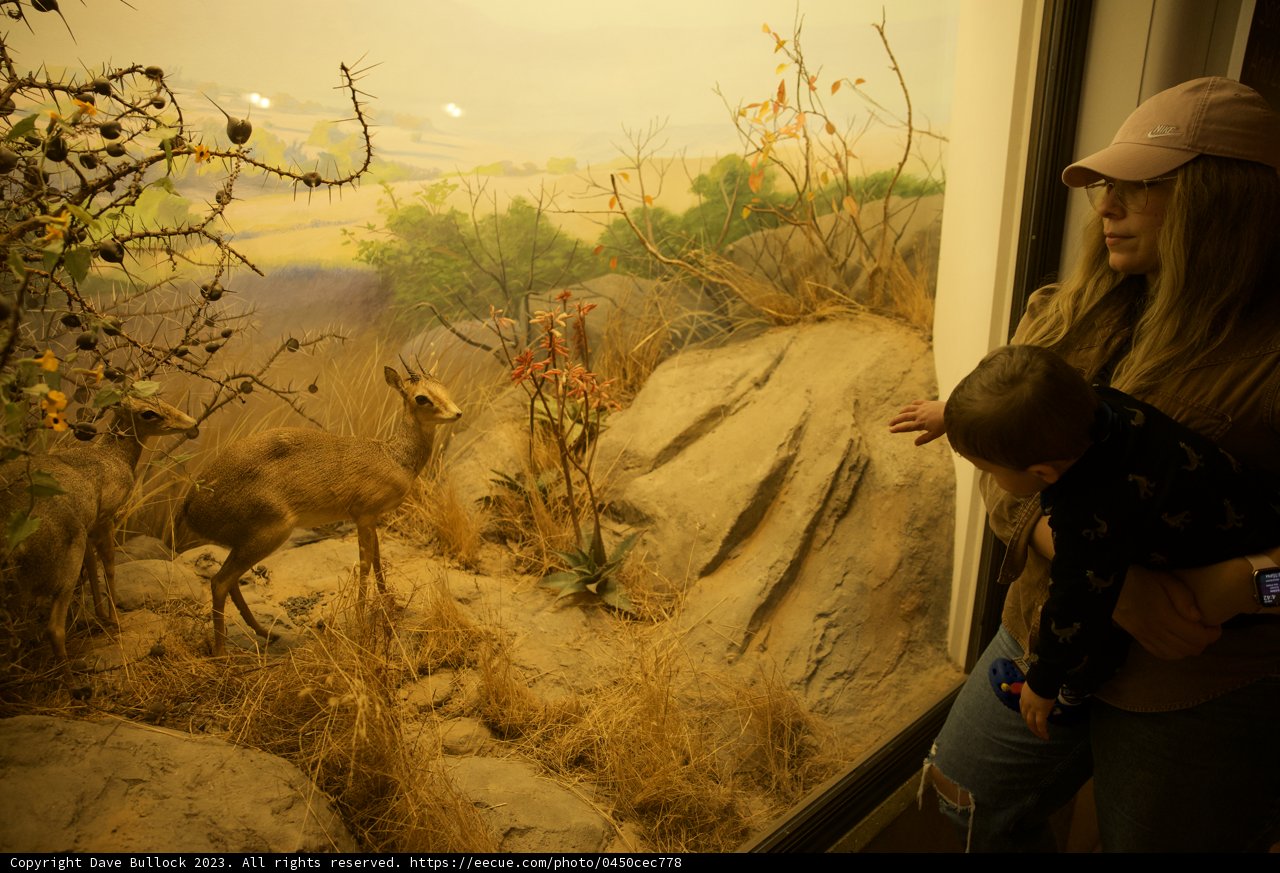Discovering Wildlife: A Bonding Moment at the Academy
