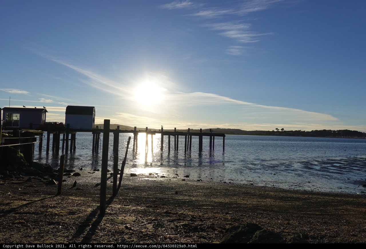 Serenity at the Pier