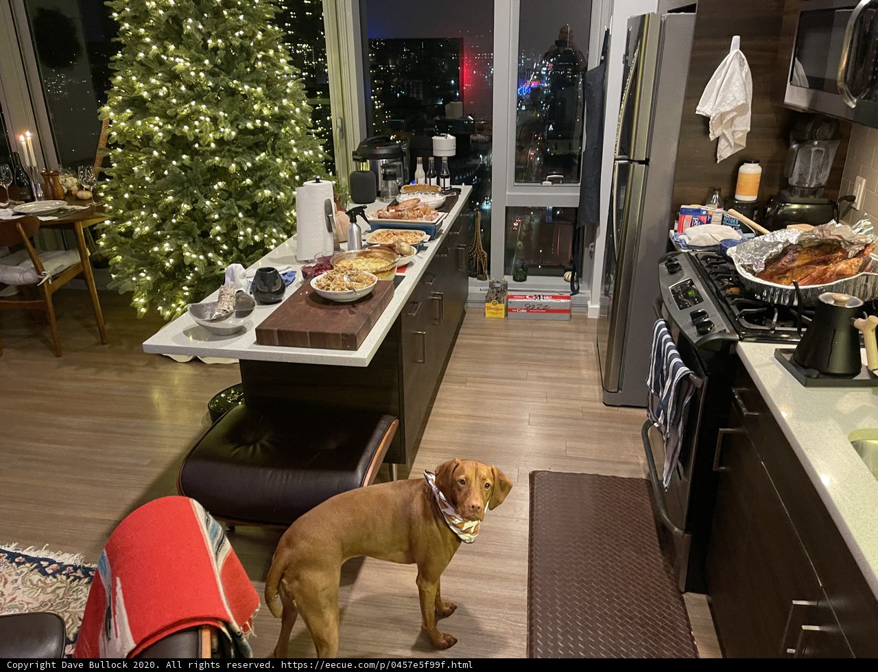 Christmas Pup in the Kitchen