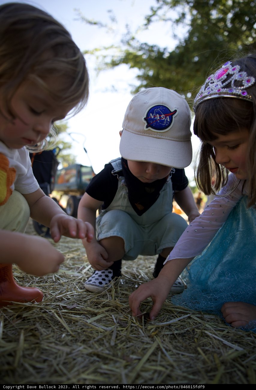 Sunlit Play Date at Metzgars' Pumpkin Patch, 2023