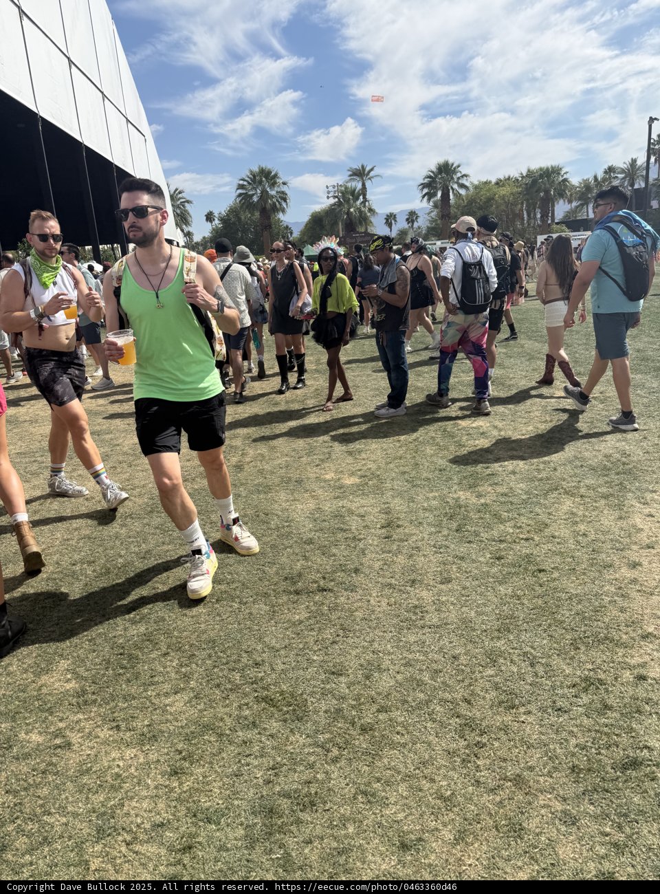 Festival Fun Under the Desert Sky
