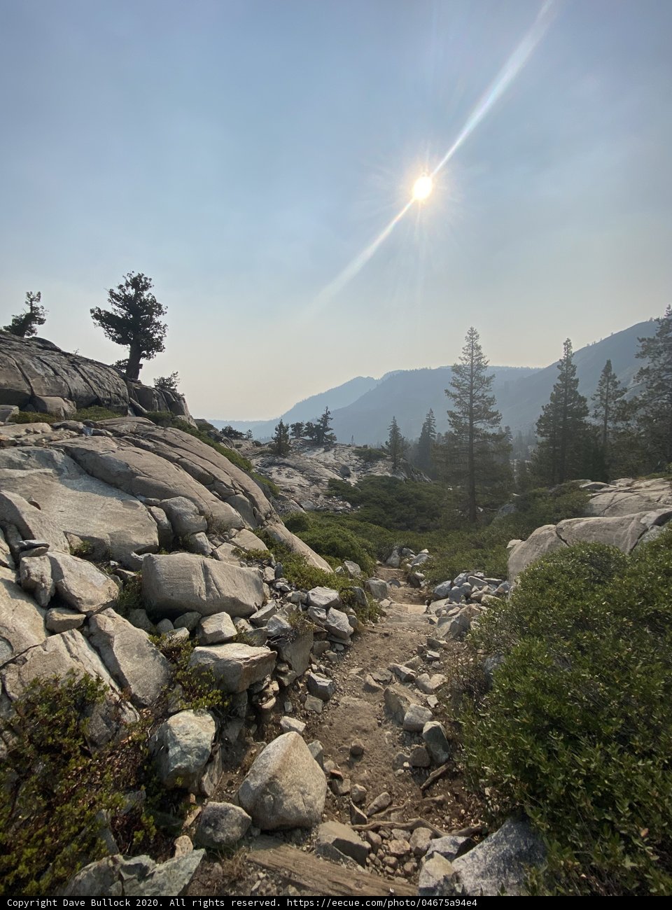 Exploring the Majestic Mountain Trail