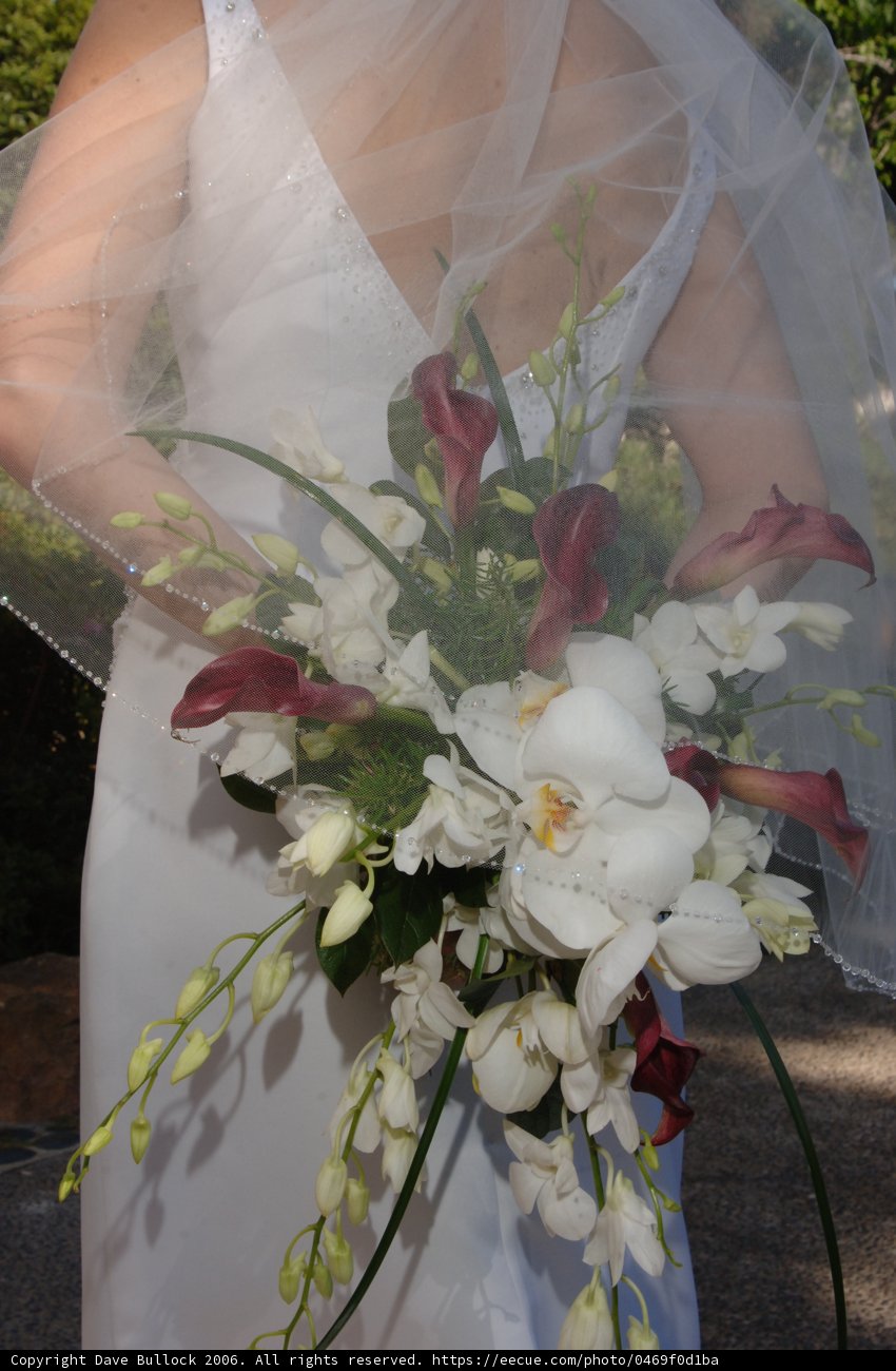 The Bride's Stunning Flower Bouquet