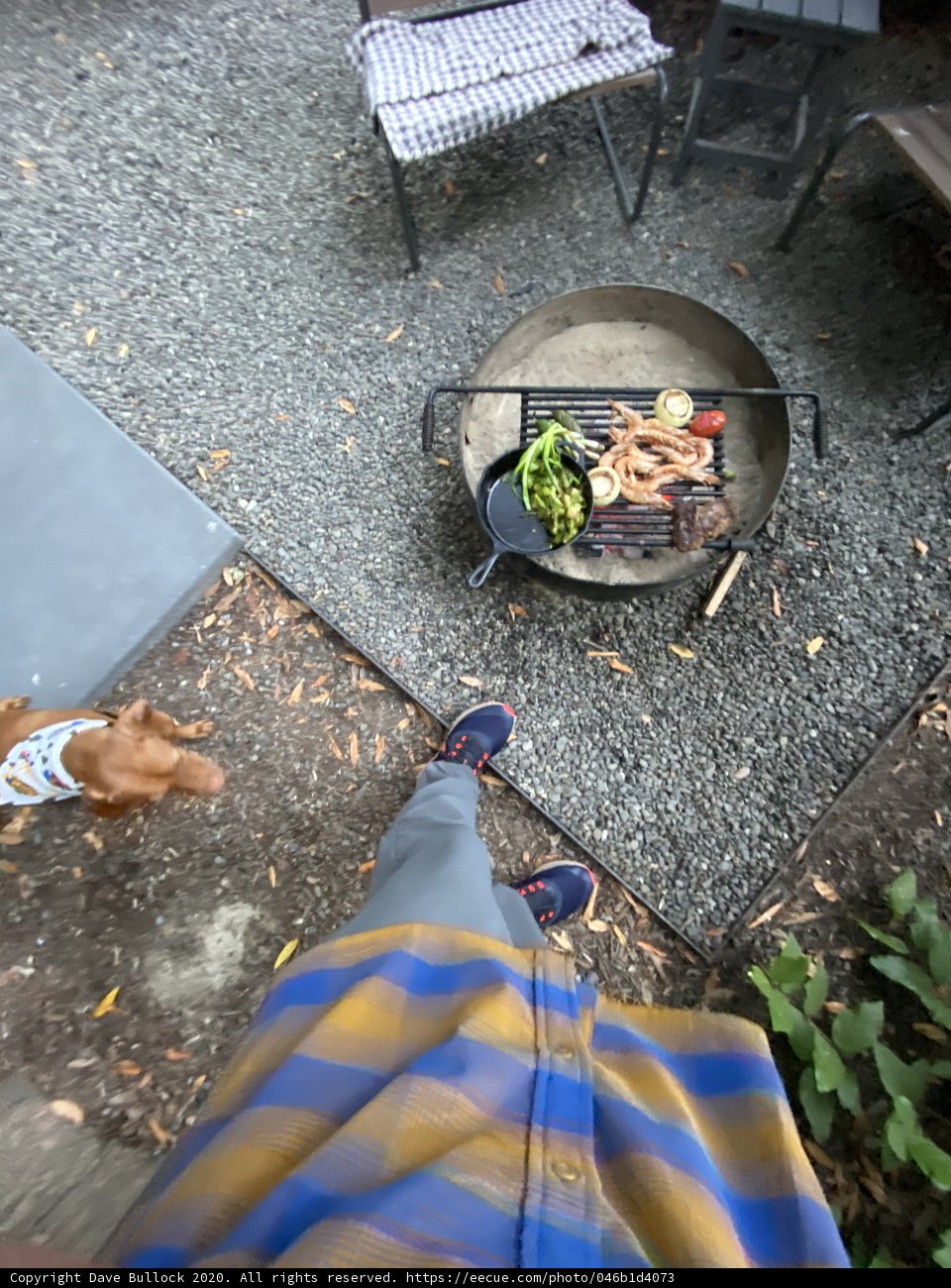 BBQ Time with a Furry Friend