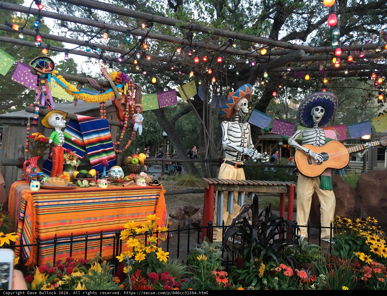 Skeletons and Flowers Fest