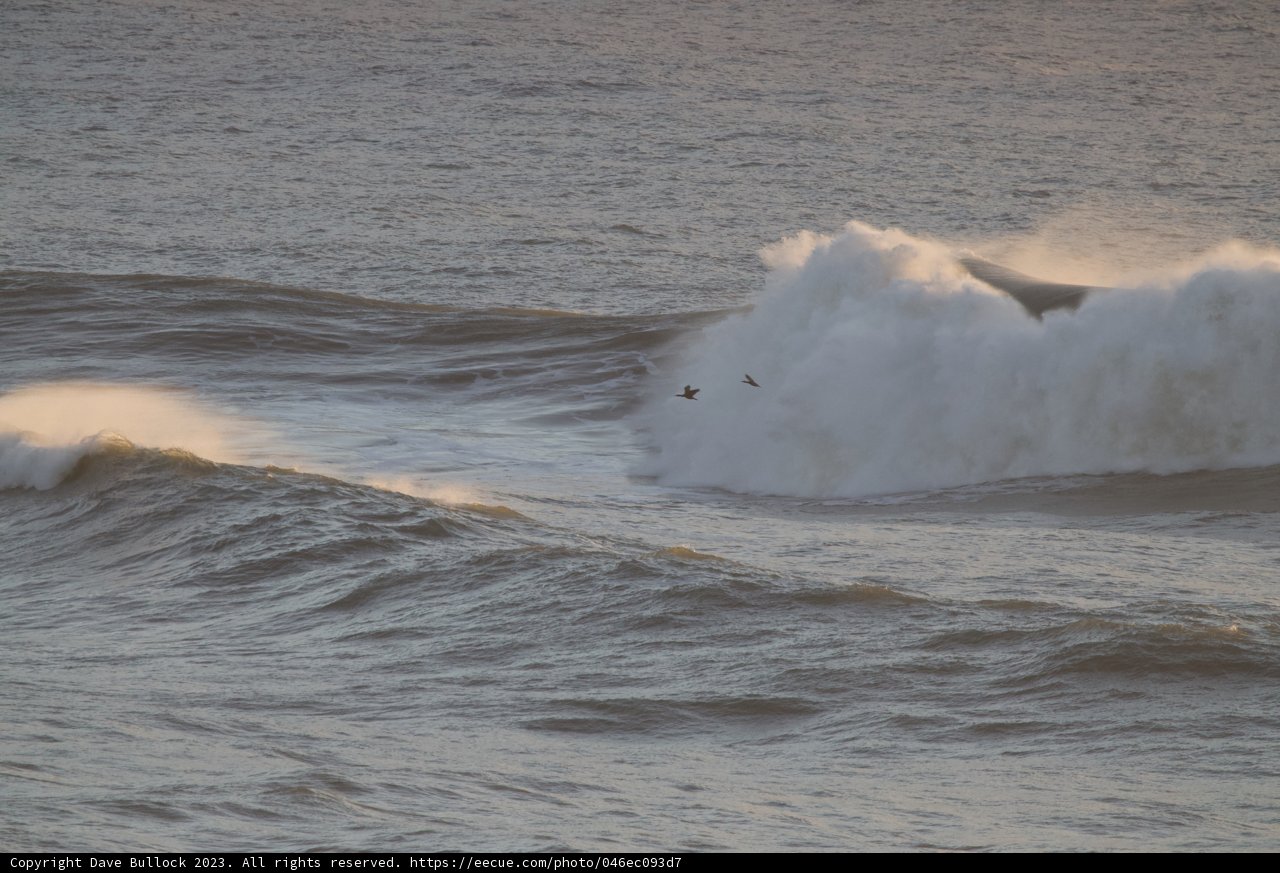 Conquering Mavericks - Big Surf Day 2023