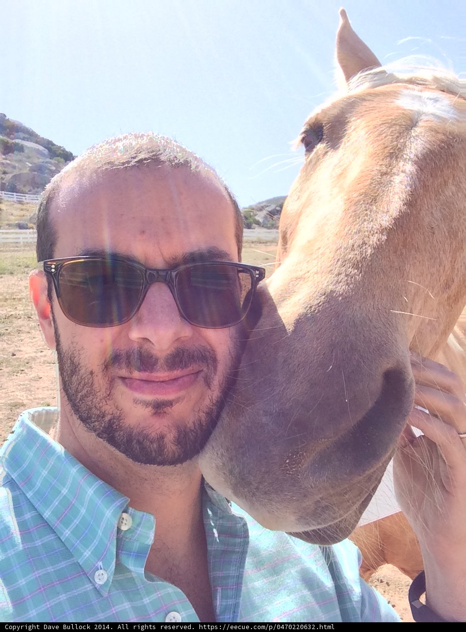 Man and Horse Under Blue Skies