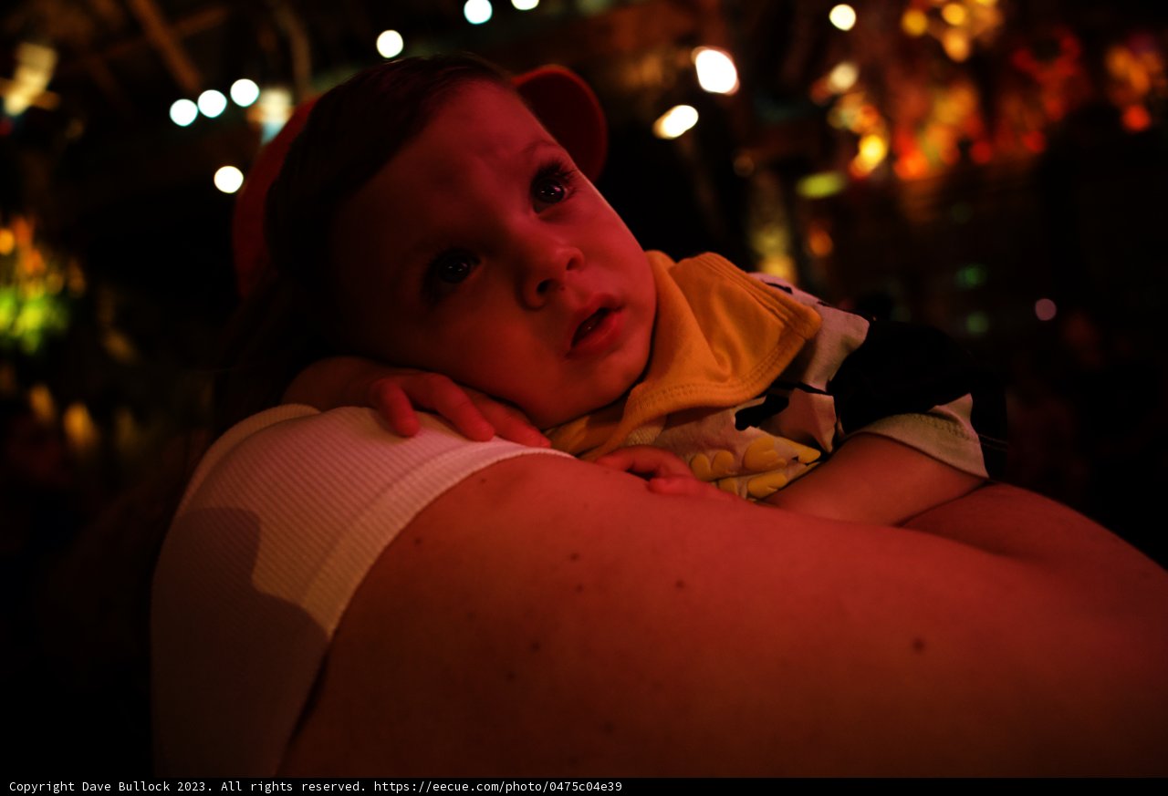 Magical Moments at Disneyland