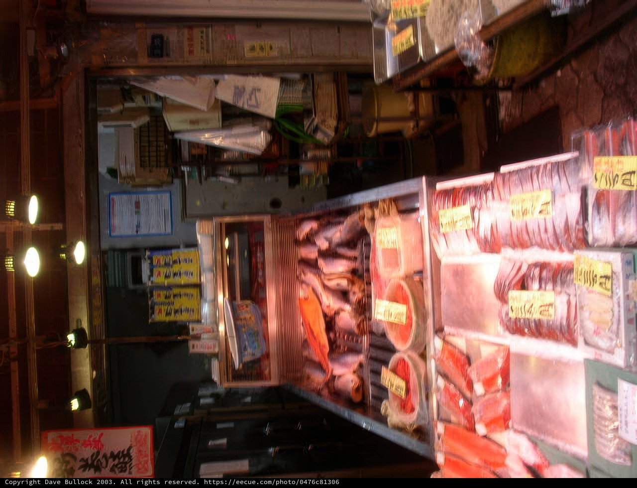 A Fish Market in the Heart of Tokyo