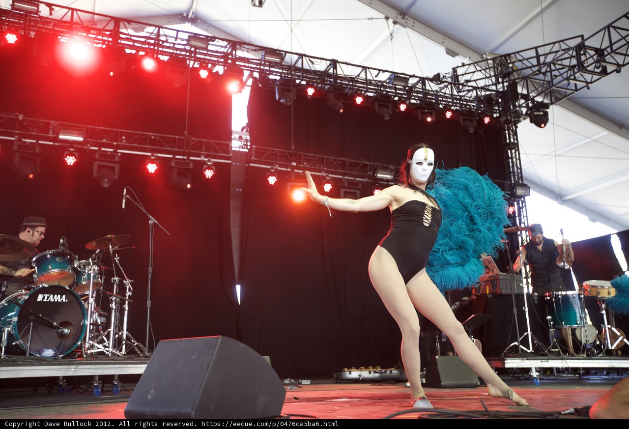 Feathered Performer