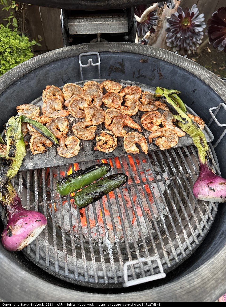 Sizzling BBQ Feast