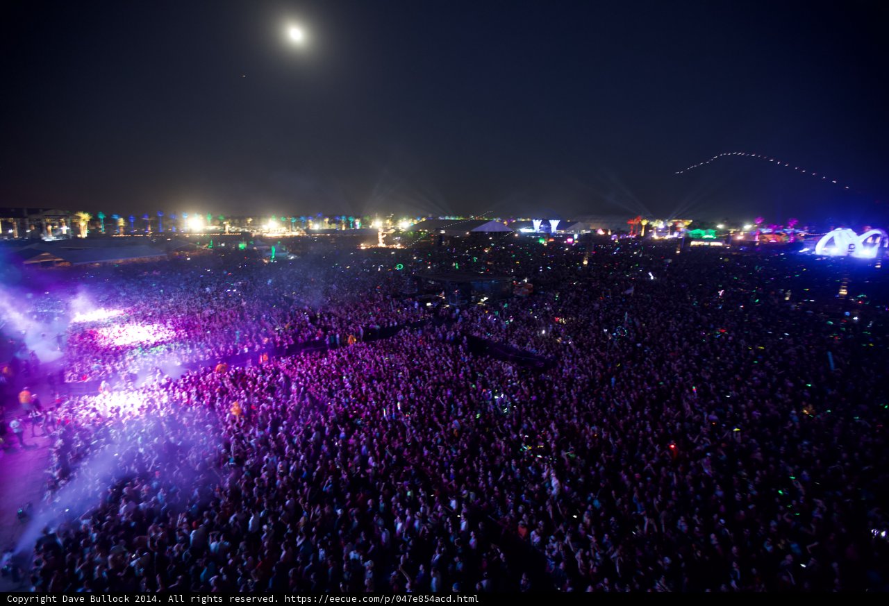 Moonlit Madness