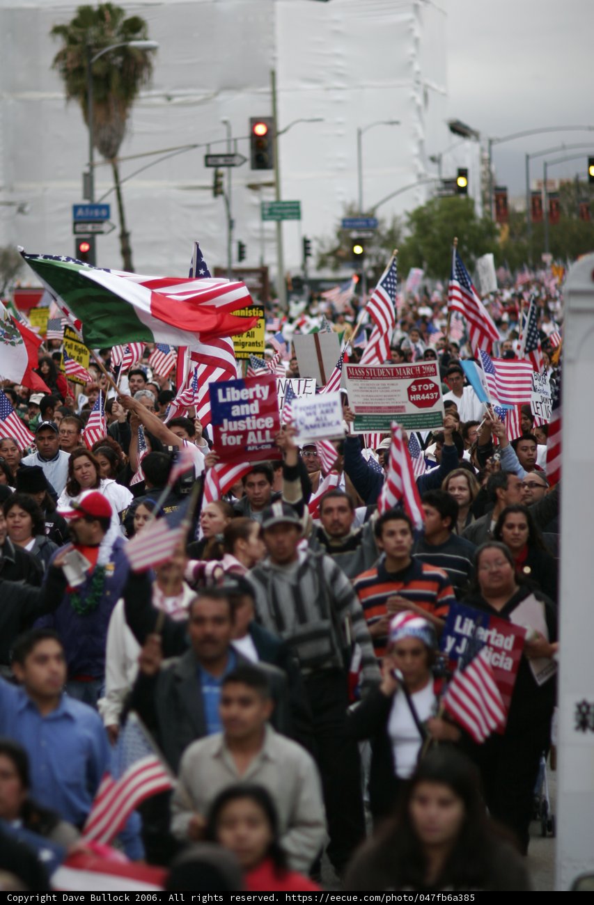 Patriotic Crowd