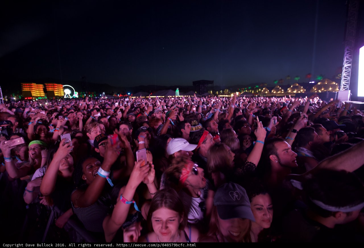 Hands Up at Coachella Concert
