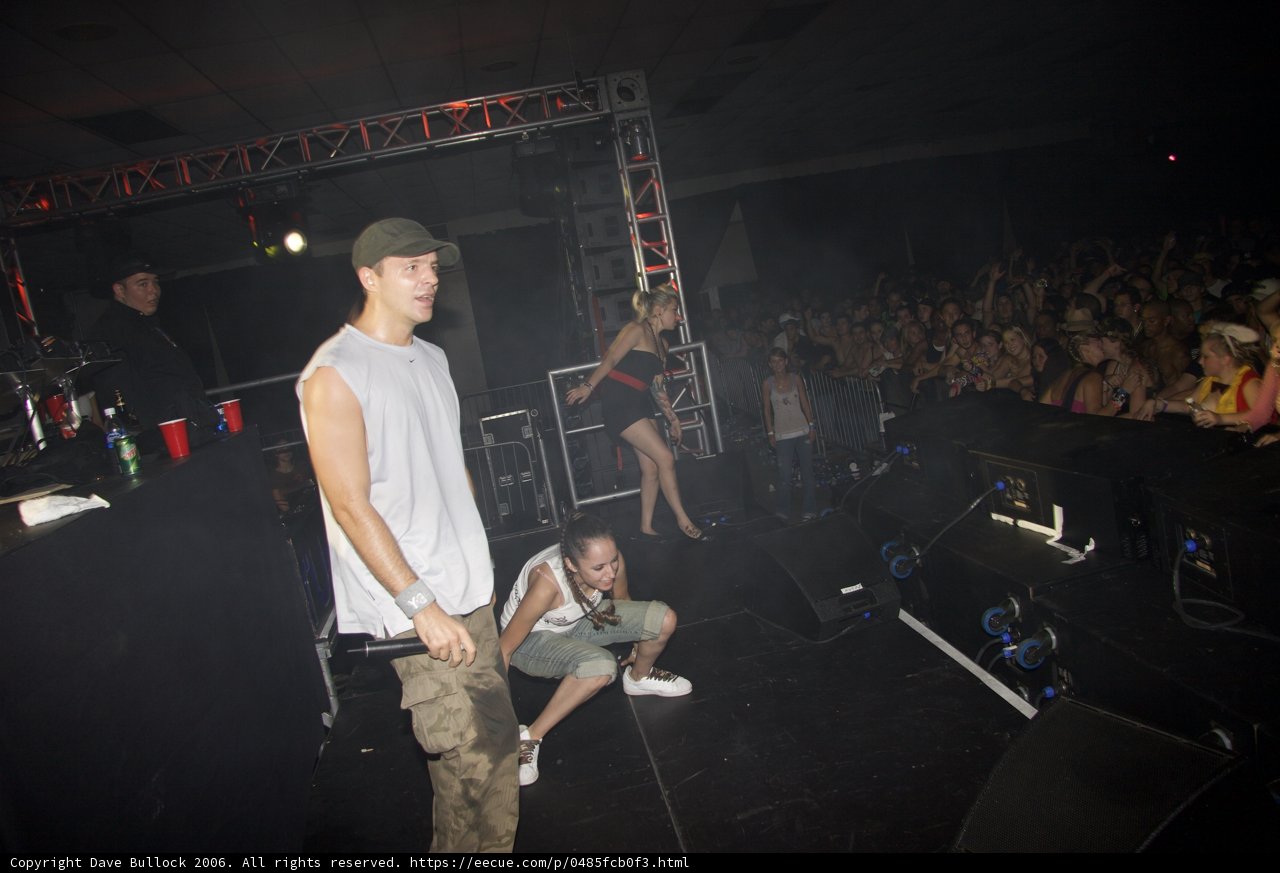 Concert Performance with a Lively Crowd