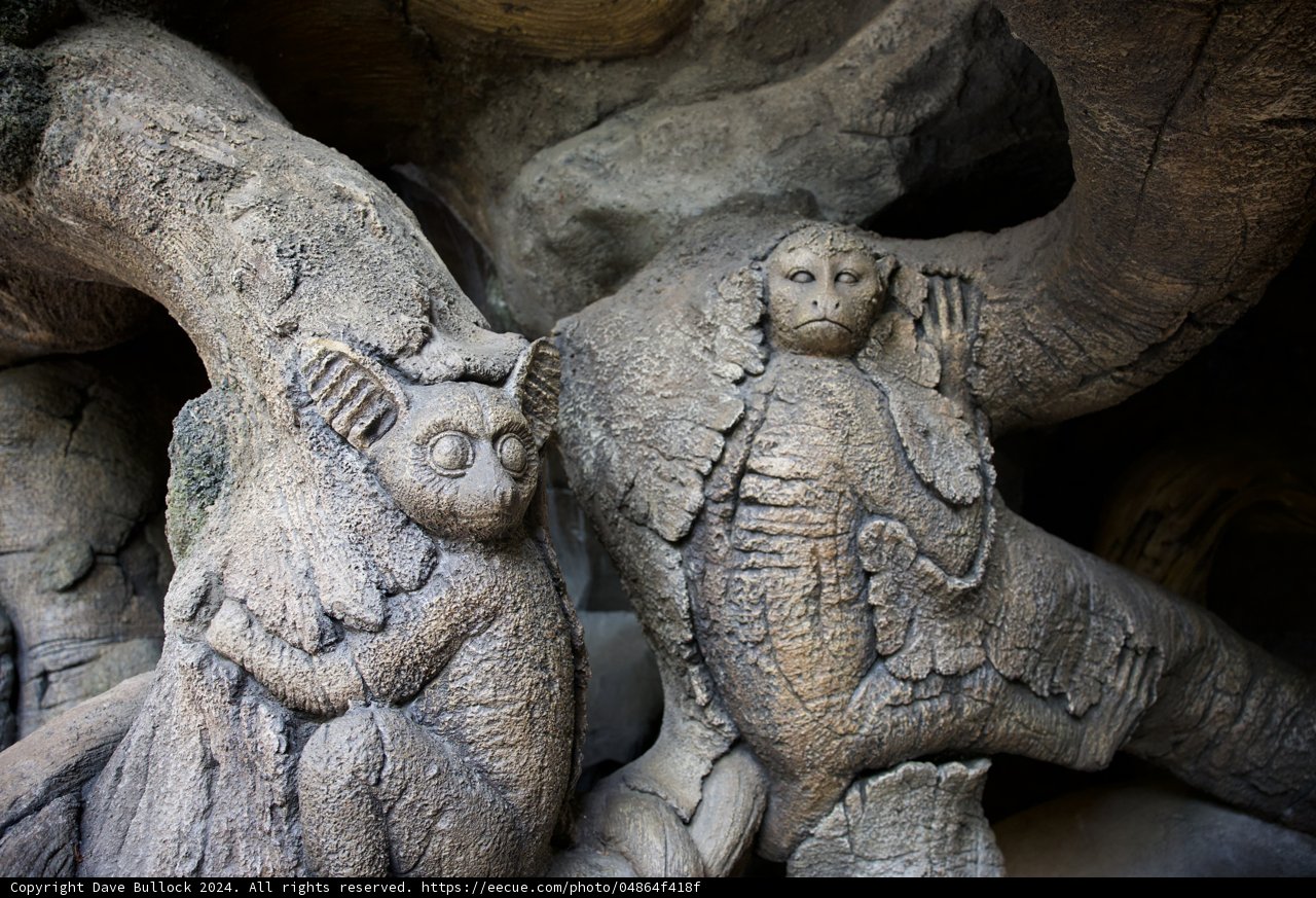 Marvelous Monkey Carving in Disneyworld Animal Kingdom, 2024