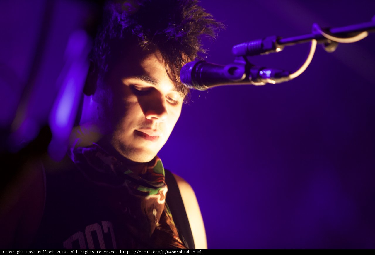 Rostam Batmanglij at Coachella