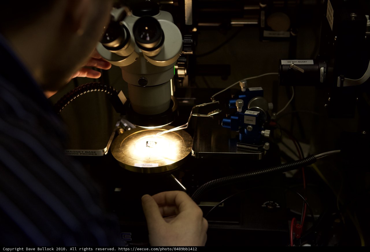 Exploring the Inner Workings of Light Bulbs
