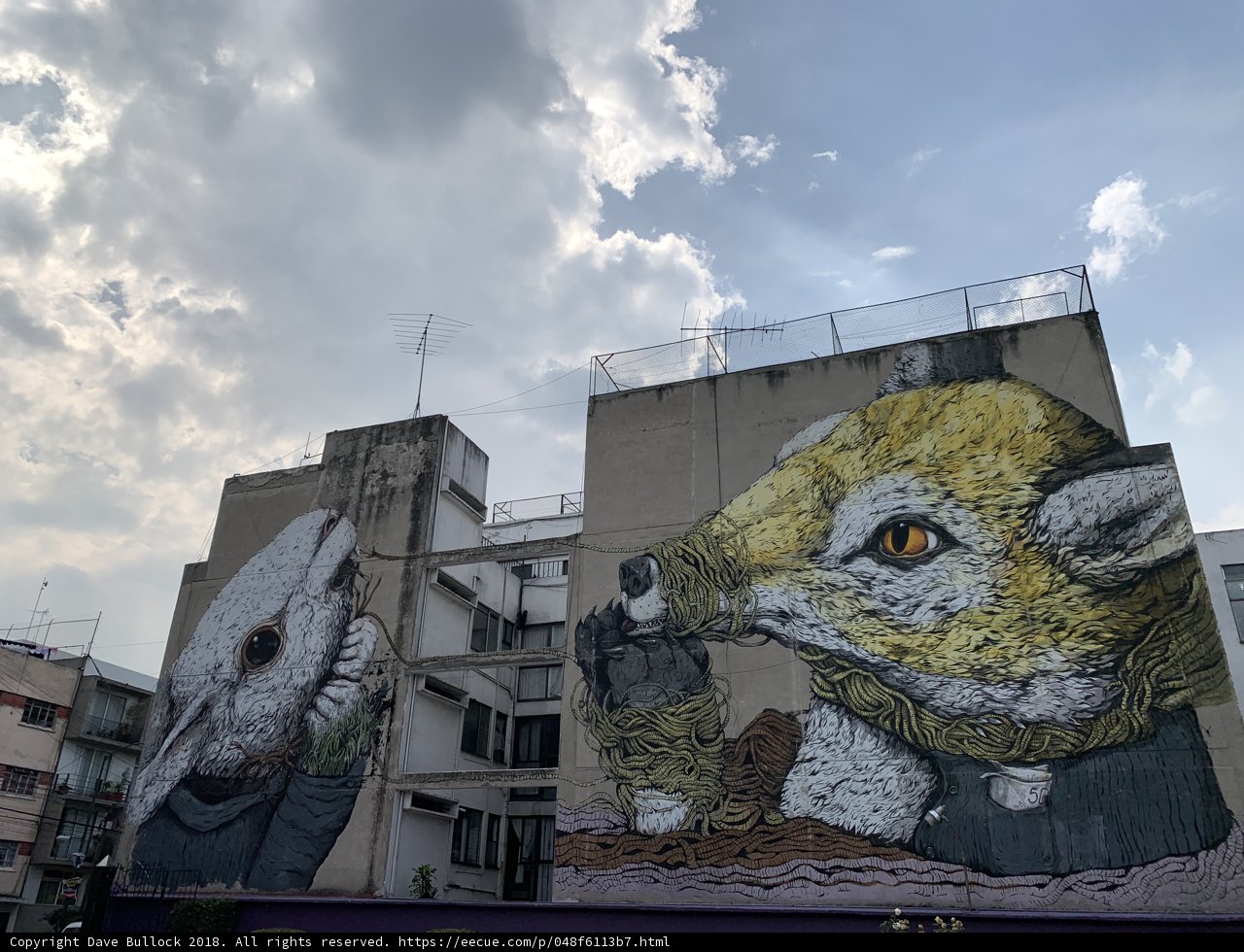 Urban Art Delights