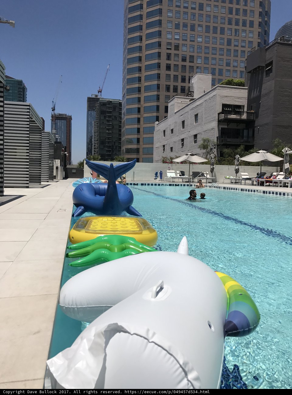 Fun in the Sun at LA's Waterfront Pool