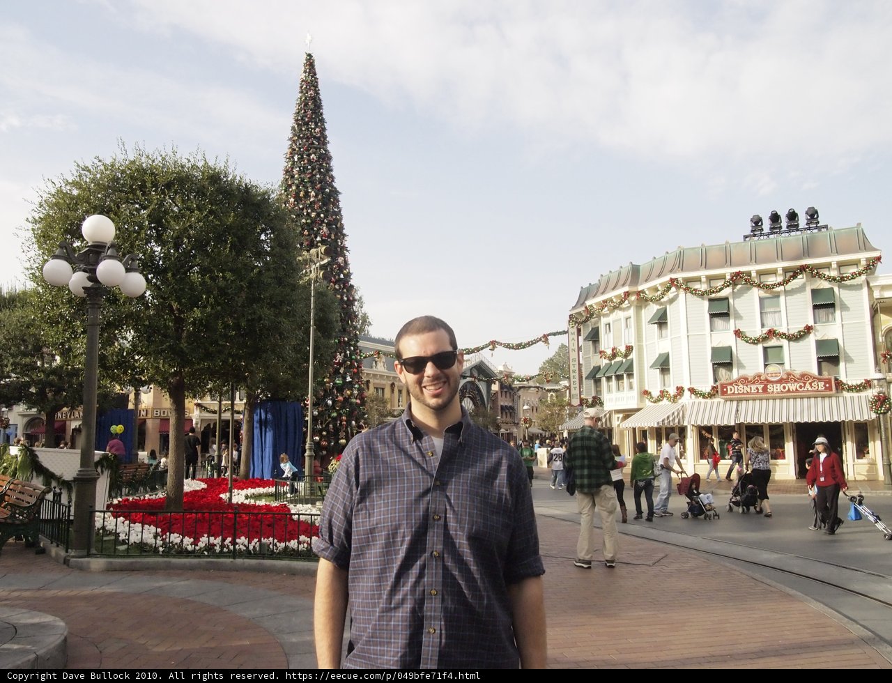 Festive Holiday Stroll