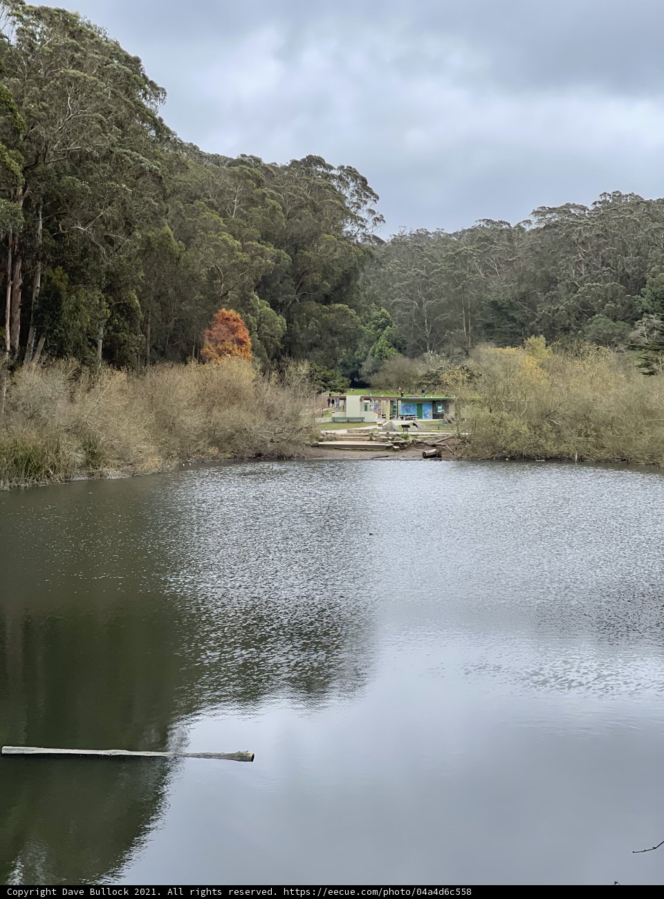 Serenity at Pine Lake