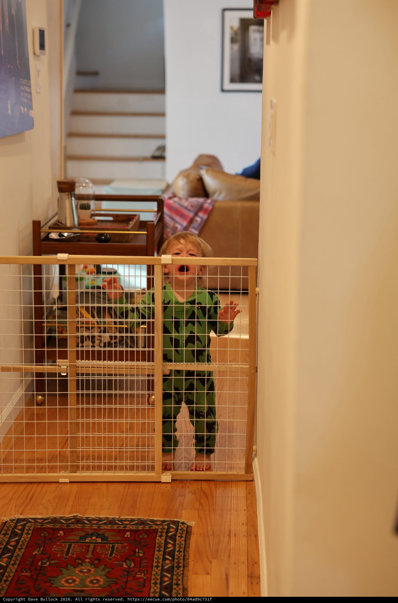 Toddler Behind Safety Gate in Home Interior