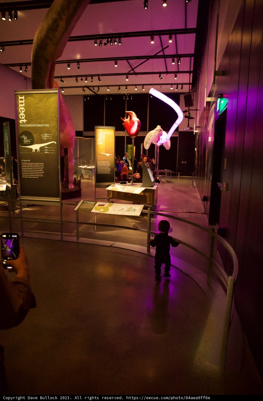 Encounter in the Museum