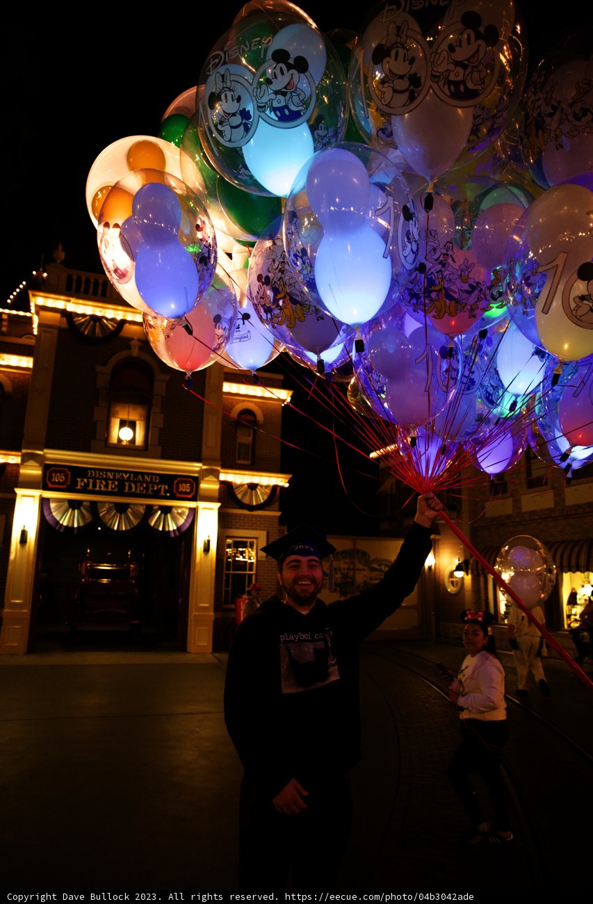 A Magical Night in Disneyland