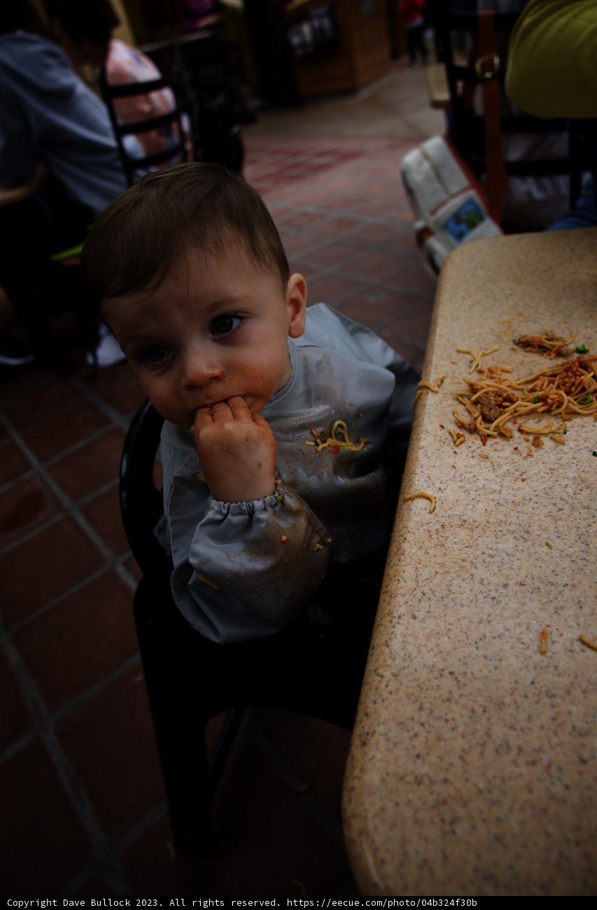 A Delightful Bite at Disneyland