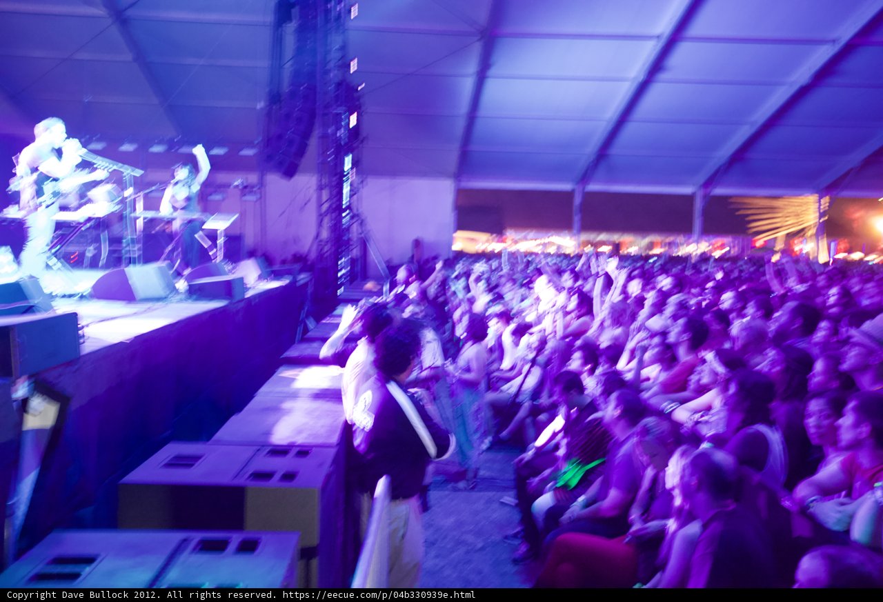 Purple Haze at Coachella Concert