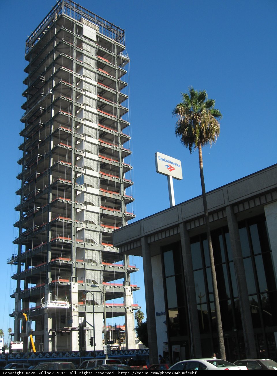 High Rise Oasis