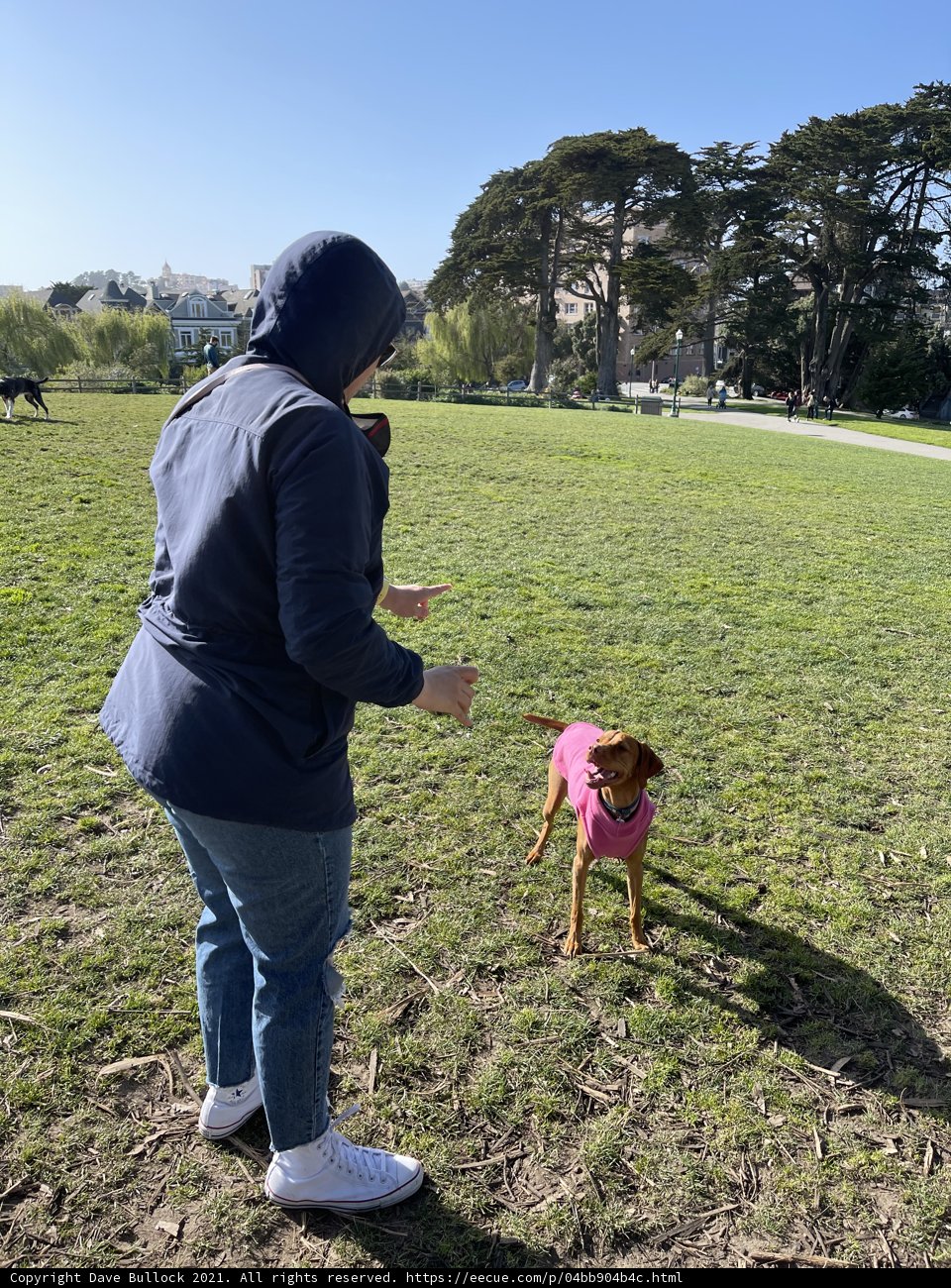 Playing with My Furry Friend in the Park