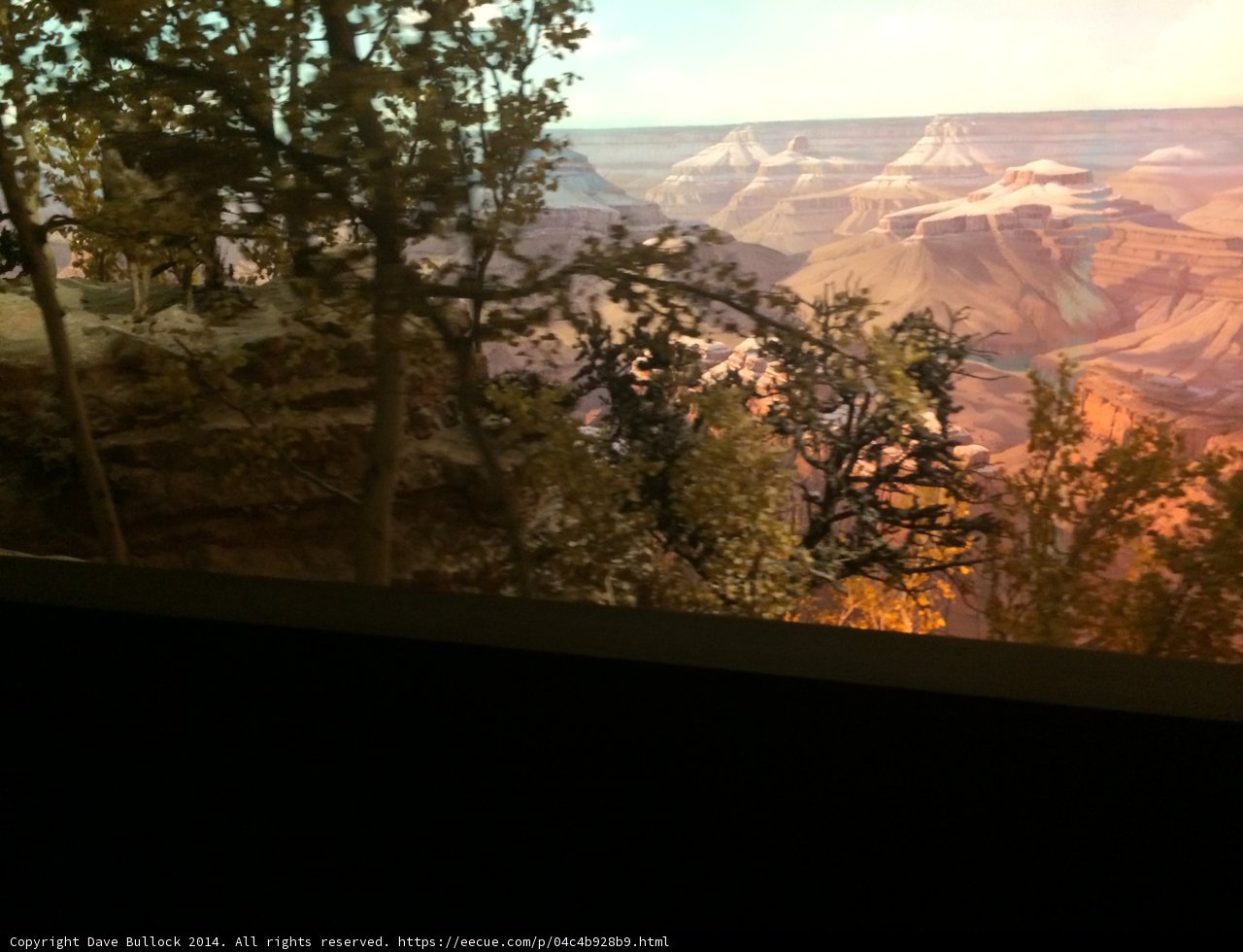 Grand View of the Canyon