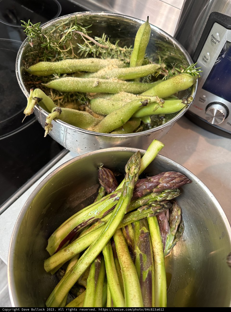 May Harvest: Asparagus and Green Beans