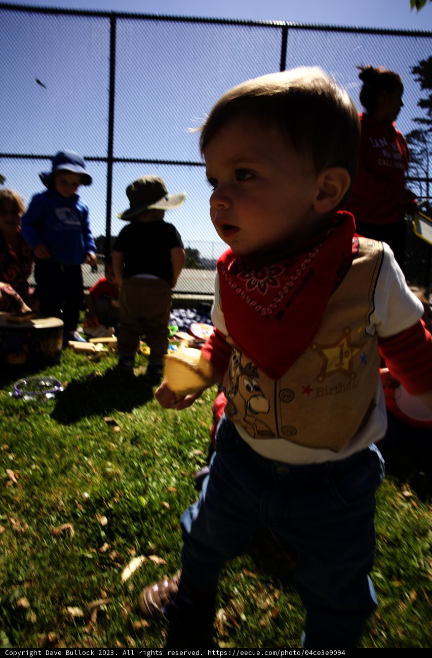 Little Cowboy's First Birthday Celebration
