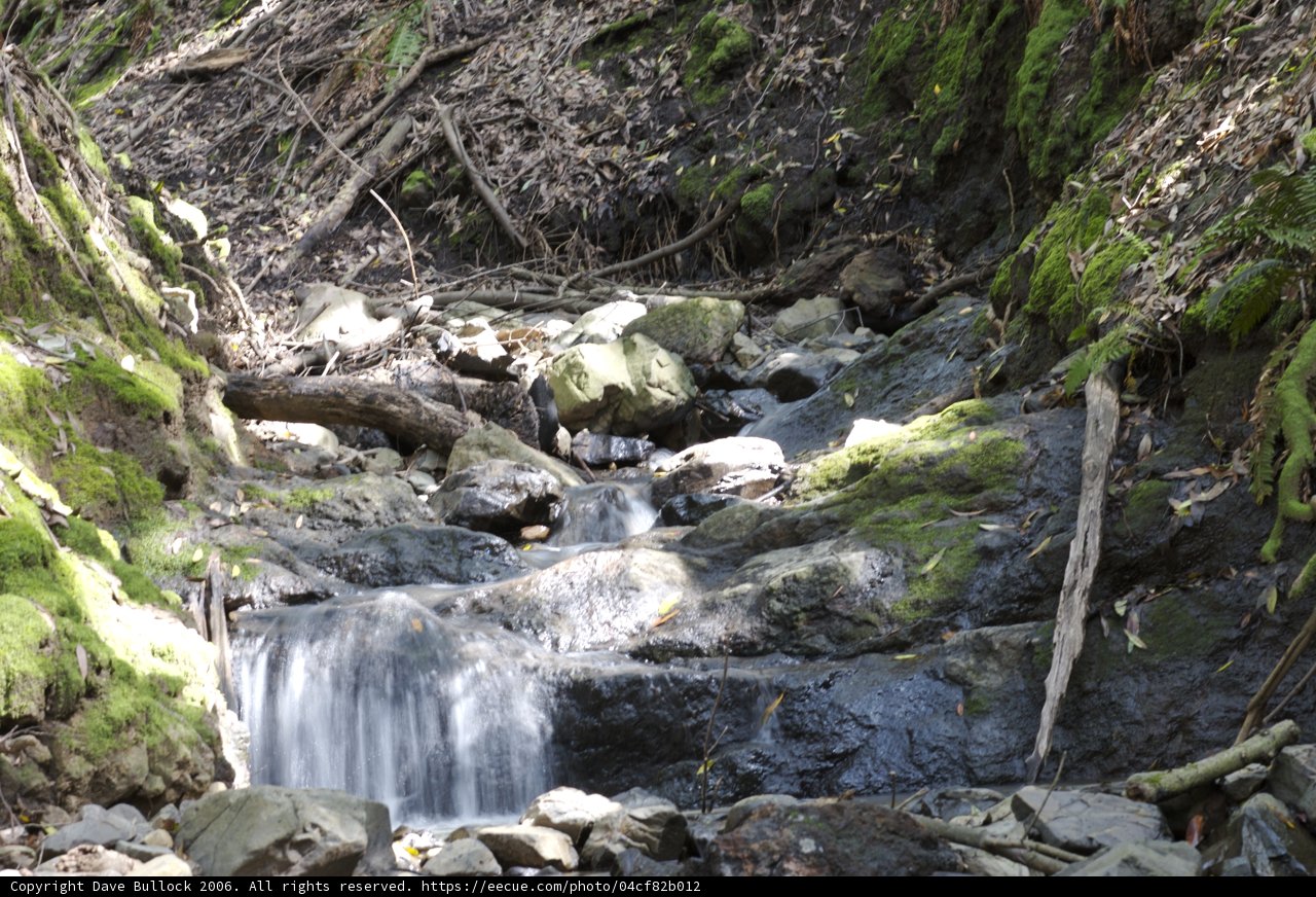Serene Waterfall in the Heart of the Forest