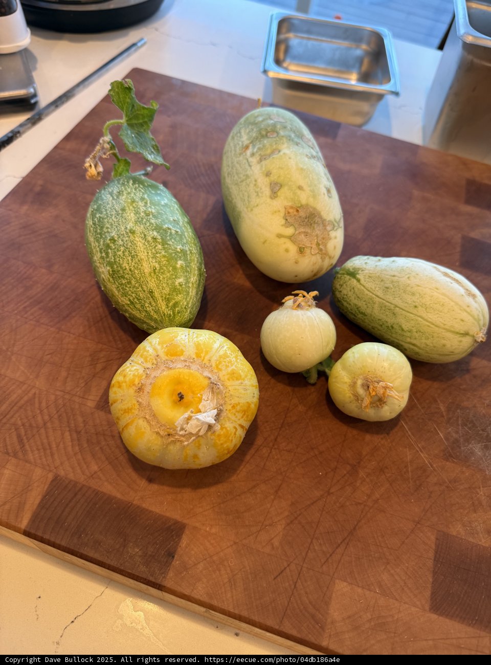 A Bounty of Garden Harvest