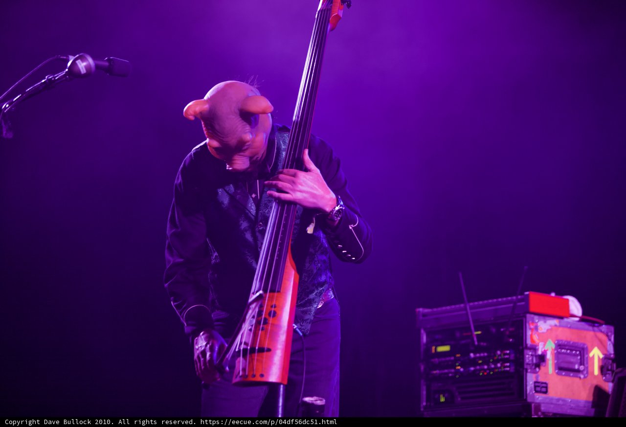 A Night of Musical Magic