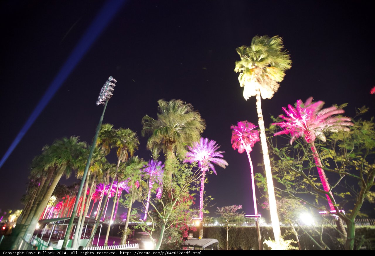 Illuminated Palms