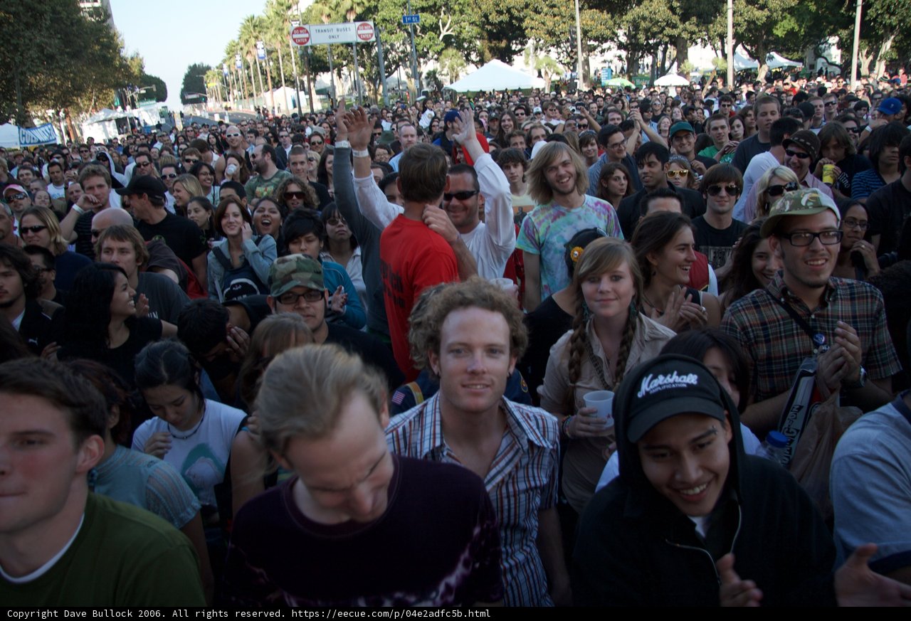 Festival Frenzy