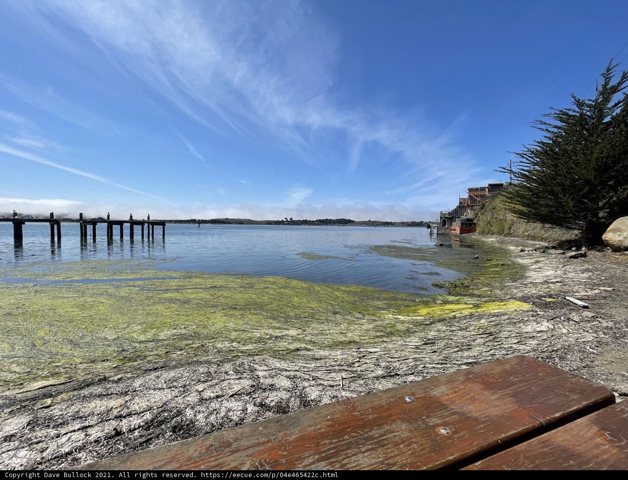 Serenity at Bodega Bay
