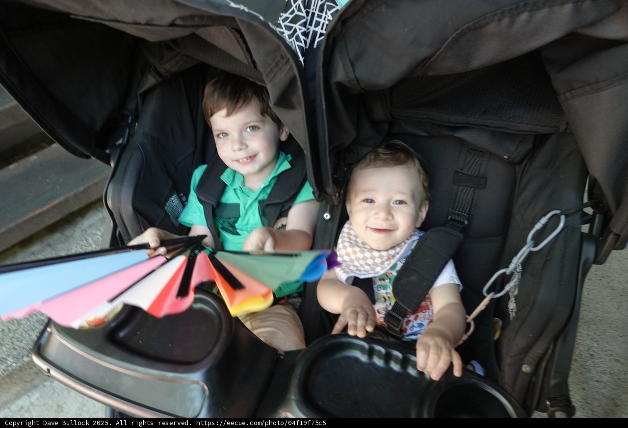 Double Delight: A Stroll in the Sun