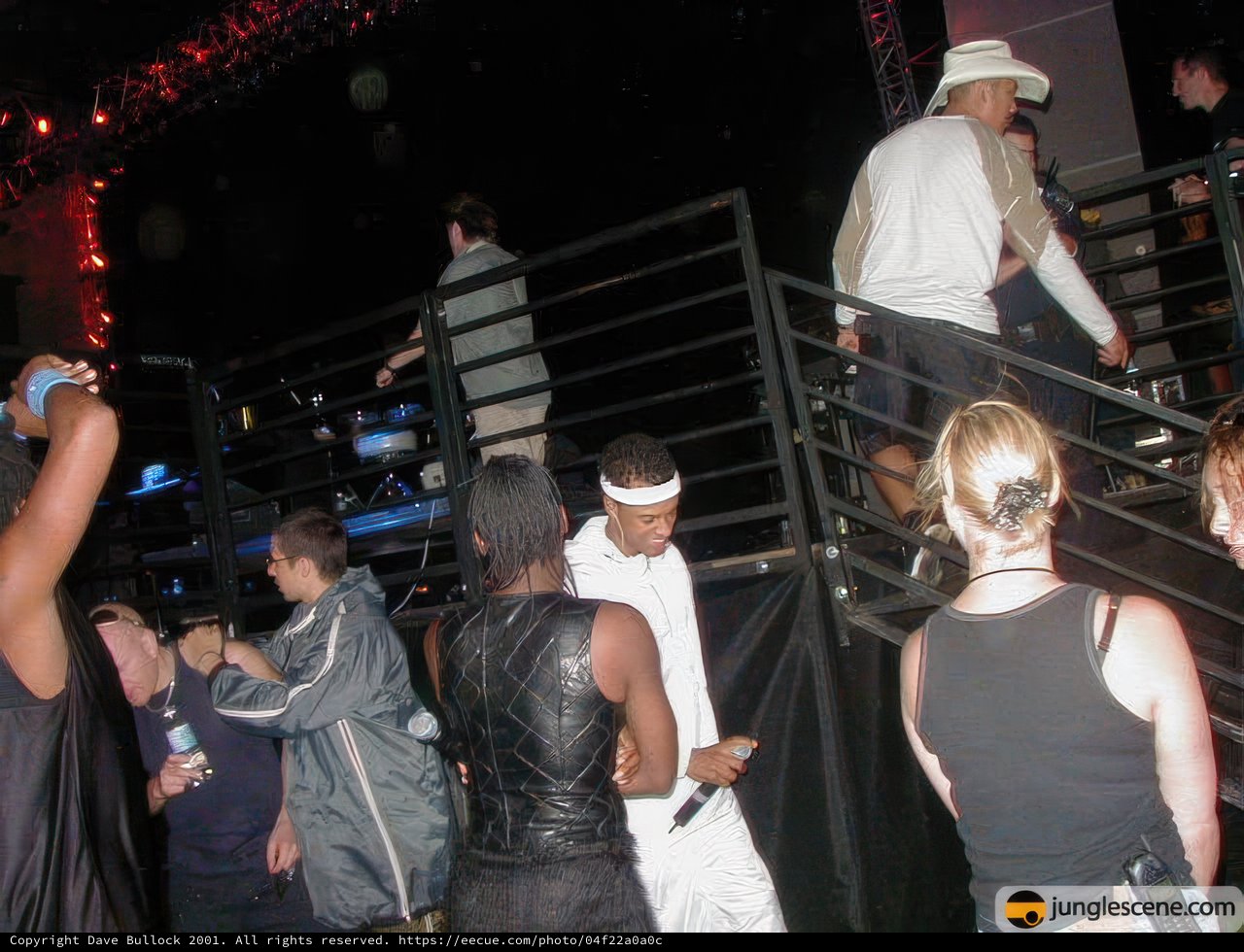 Nightclub Crowd at Coachella