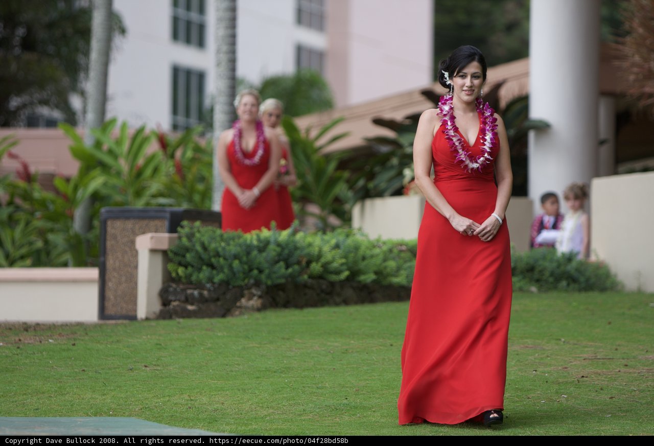 A Red Dress for a Hawaiian Wedding