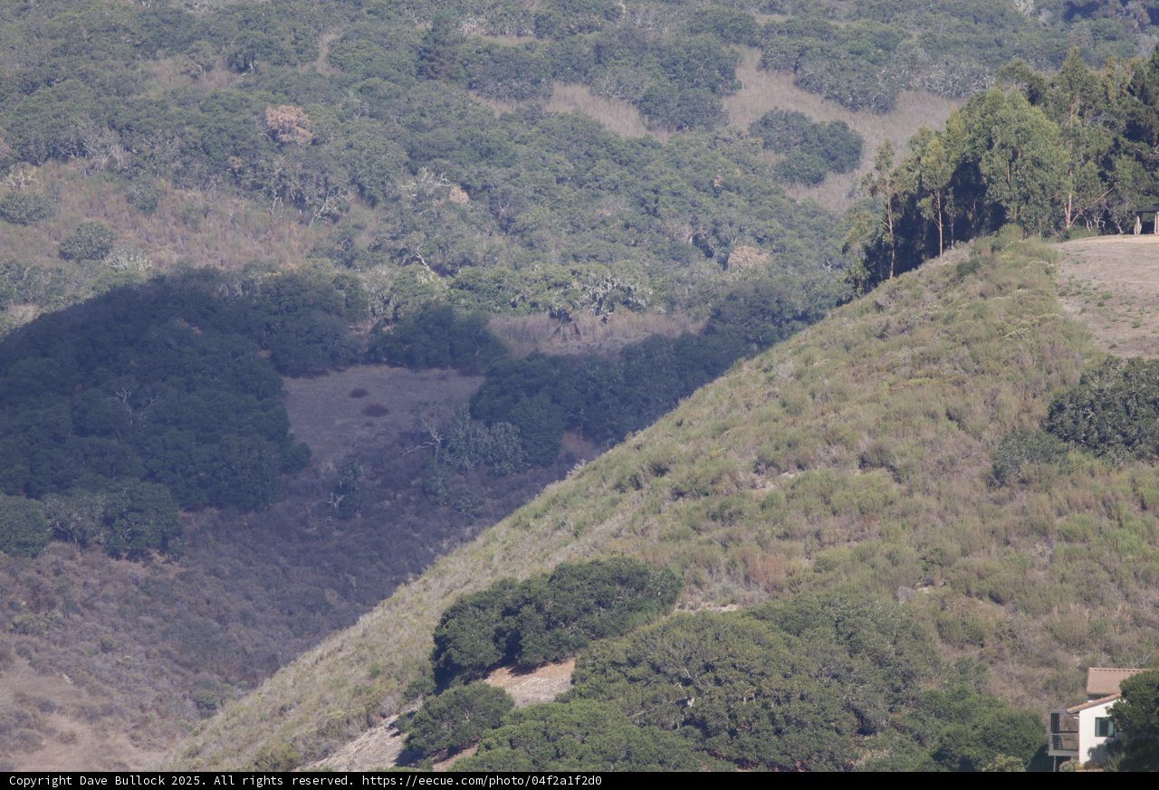 Tranquil Hills of Carmel Valley