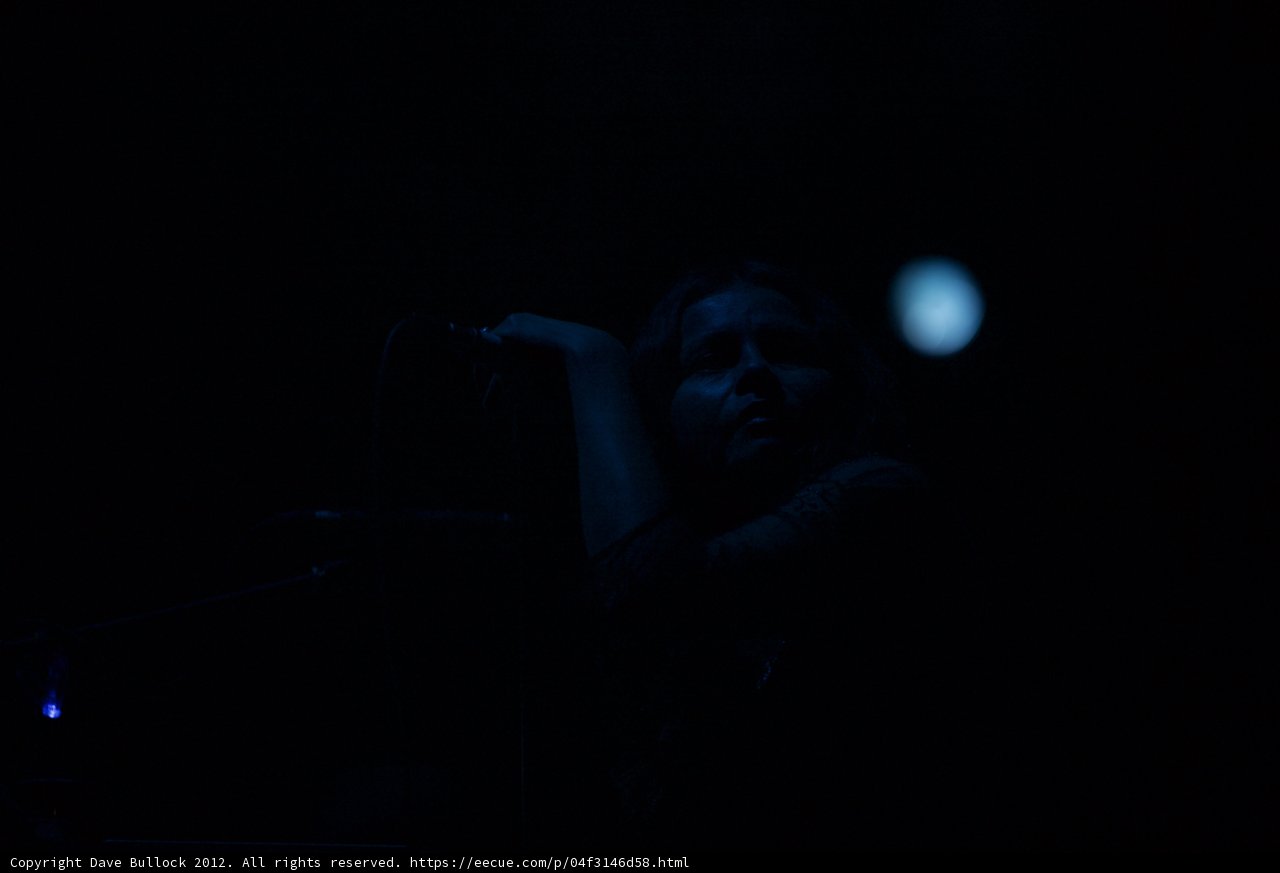 Moonlit Melodies