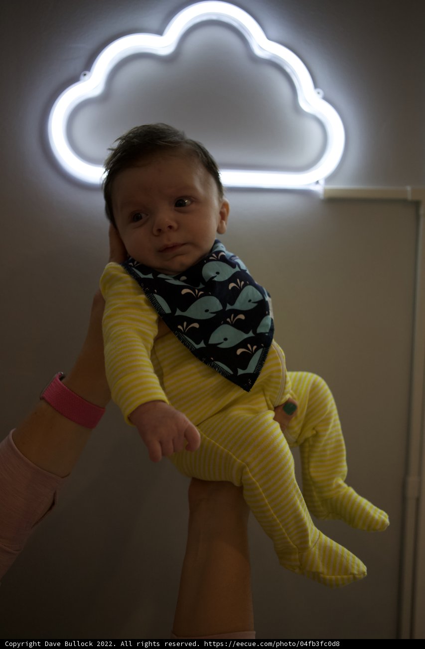 Neon Dreams: Baby Wesley