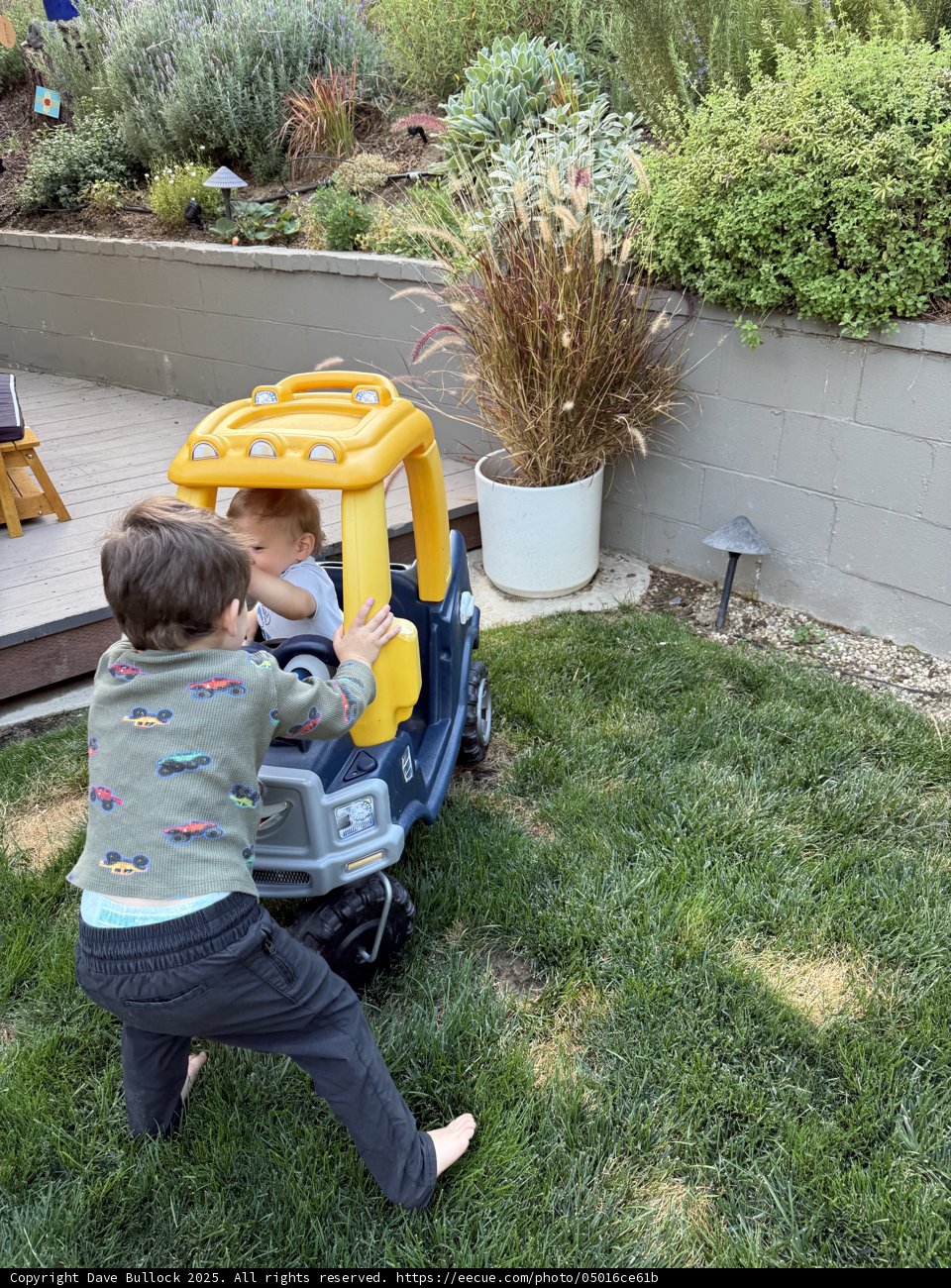 Backyard Adventures in September